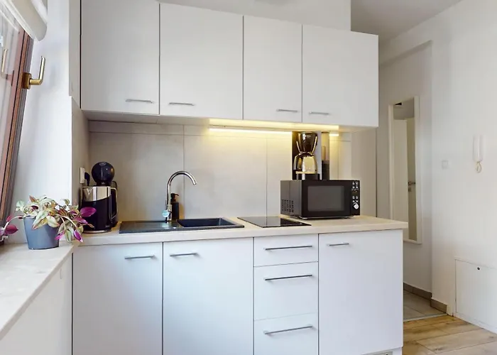 Fibra Gusto Rybnik (Silesia)