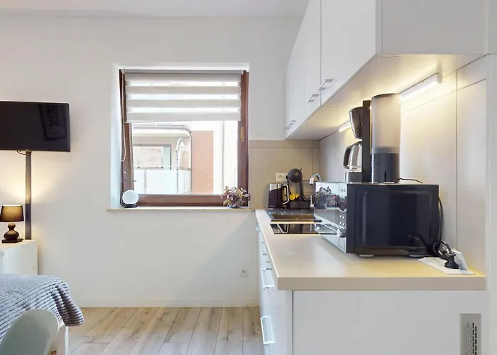 Fibra Gusto Daire Rybnik (Silesia)