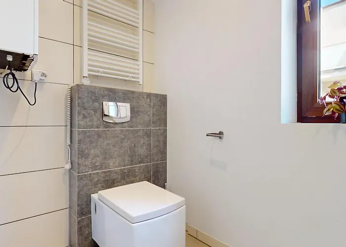 Fibra Gusto ריבניק