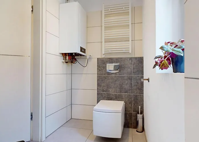 Fibra Gusto Daire Rybnik (Silesia)